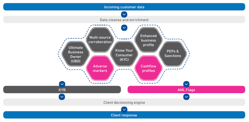 Graphic showing the various components of a AML Flags API